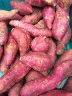 pink potatoes vegetables in the market