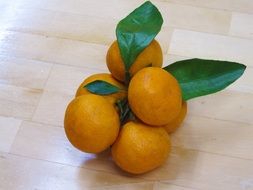 a branch of ripe tangerines on the table