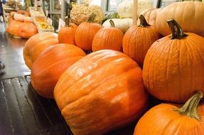 pumpkins in the market