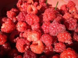 Fruit Raspberry Summer Food Red