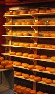 appetizing Cheese Holland