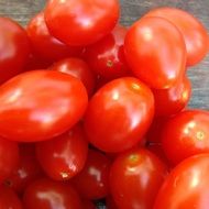 wallpaper with small red tomatoes