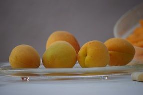orange apricots