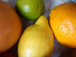 closeup picture of delicious citrus fruits