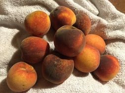 Organic peaches