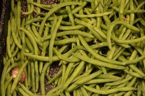 Greens organic Vegetables