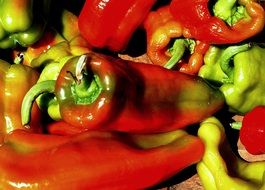 fresh hot Chili Peppers