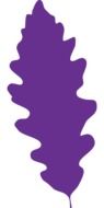 painted oak leaf