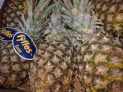 Pineapple Fruits with labels on market stall