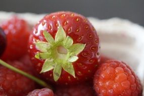 red ripe strawberries with a green tail