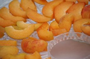 Sliced colorful apricots drying
