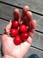 cherry berries on hand