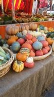 decorative pumpkins in the market