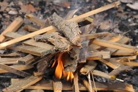 campfire, Wood and Flame