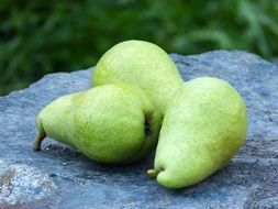 green Pears Still Life