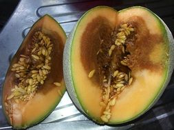 rotten melon cutaway