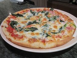 Delicious Italian pizza