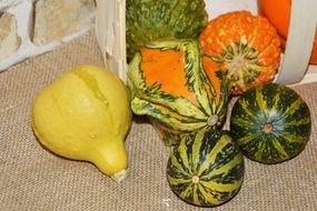 nice decorative squashes