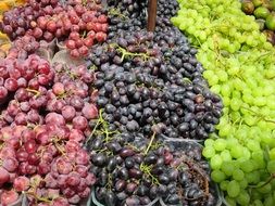 varieties of colorful grapes close-up