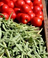 Tomatoes and green beans