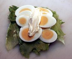 open sandwich with eggs and mayonnaise