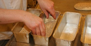 dough in bread forms