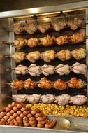 chicken grilled in the oven