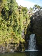 photo of a waterfall in an impenetrable jungle