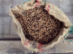 mix of coffee beans