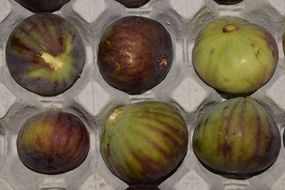 ripe figs for sale