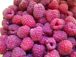 lot of ripe raspberries close-up