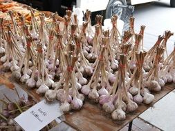 Produce Organic garlic Market