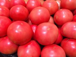 many bright ripe tomatoes