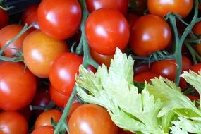 organic red tomatoes at the market