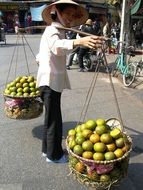 Fruit Trade VietNam