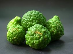 bergamot of the genus citrus