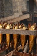 Fish Smoking in smokehouse