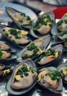 A lot of the delicious mussels in the market