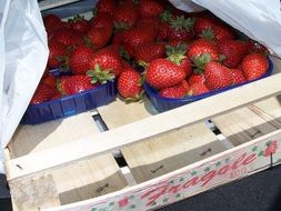 Italian red sweet ripe strawberries in the market