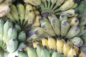 organic Cultivated Banana closeup