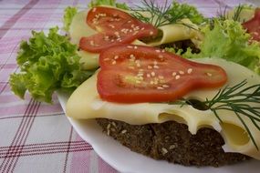 tomato and cheese sandwiches with salade