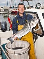 sea wolf with big fish