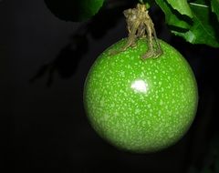 green exotic fruit