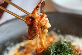 stirred octopus