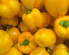 yellow paprika in pile