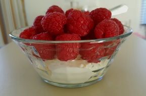 Dessert made of the raspberries and the vanilla ice cream in the glass bowl