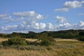 dune near the north sea