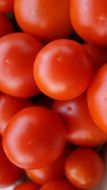 delicious red tomatoes close-up