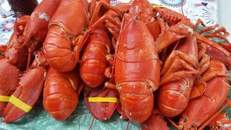 red Lobster Seafood