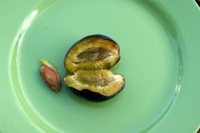 plum and its pip